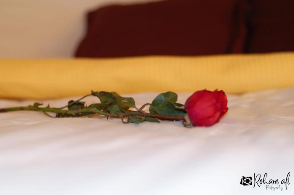 The Location Hotel Le Caire Extérieur photo